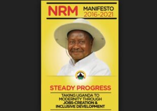 Election Campaign Flyers uganda